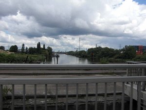 Fahrradsternfahrt Hamburg Tierfreund23 891
